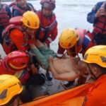 Screenshot_2026_0202_151647