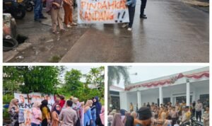 Screenshot_2026_0224_122851